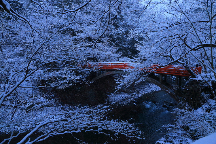 西明寺_e0051888_555655.jpg