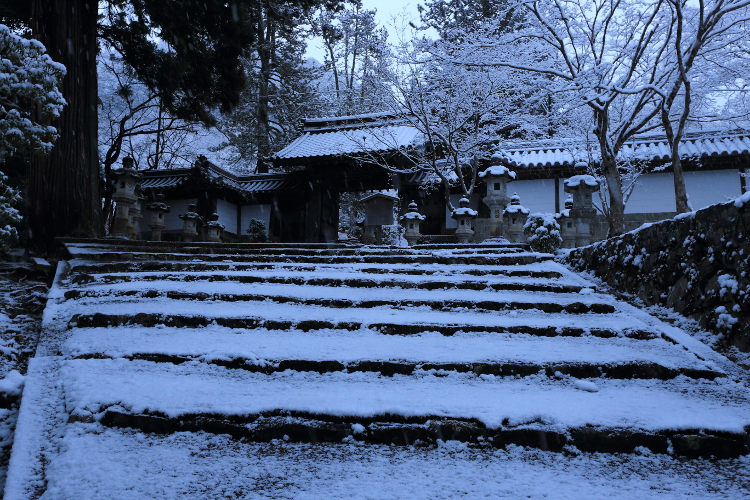 西明寺_e0051888_5561726.jpg