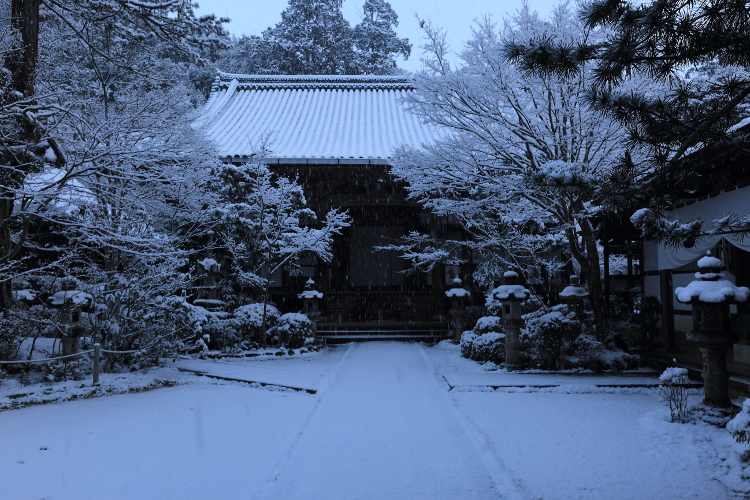 西明寺_e0051888_5571152.jpg