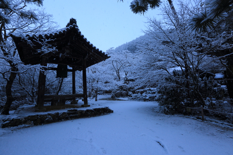 西明寺_e0051888_557267.jpg