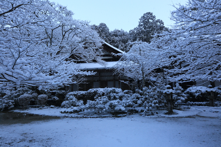 西明寺_e0051888_5581682.jpg