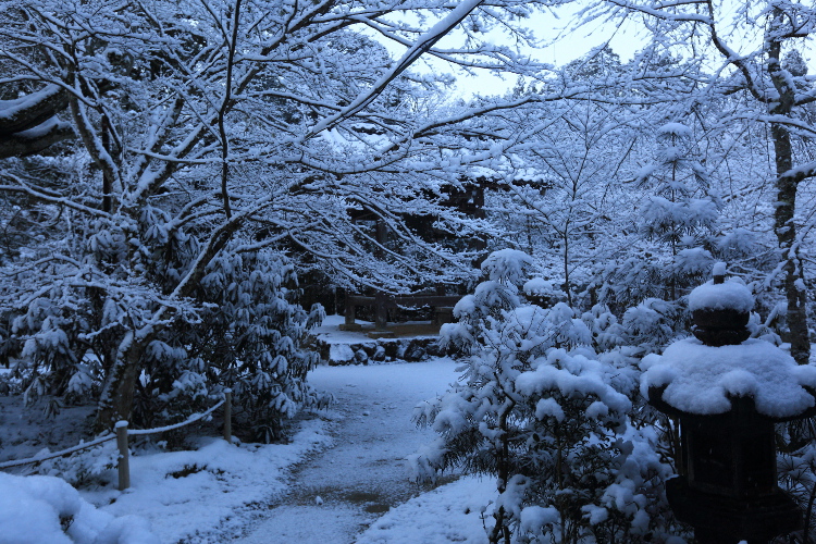 西明寺_e0051888_5582947.jpg