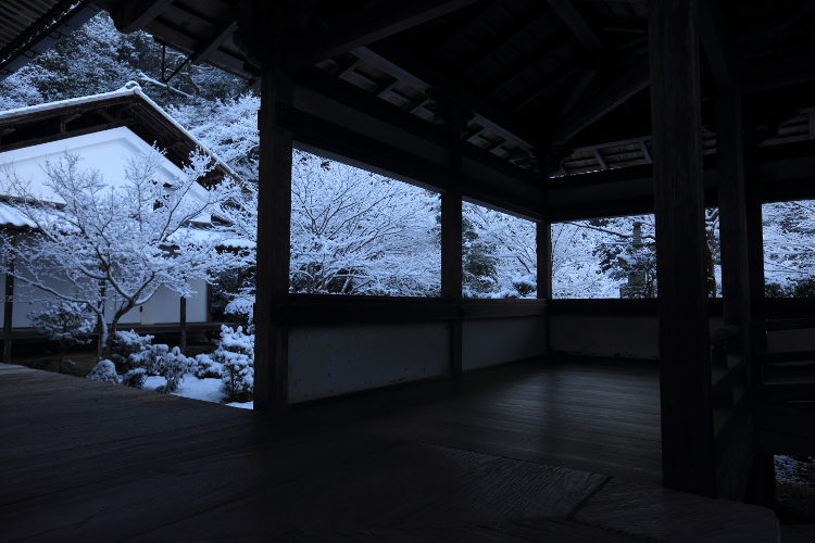 西明寺_e0051888_5585811.jpg