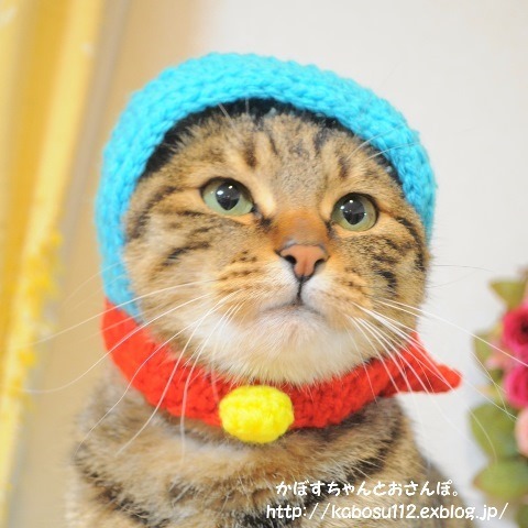 ドラ子_a0126590_00324365.jpg