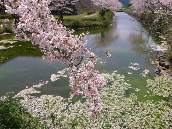花に嵐のたとえもあるさ 黄昏亭へようこそ