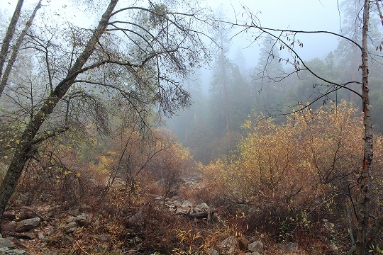 c0153302_00251000.jpg