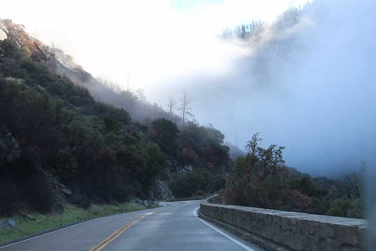 c0153302_00251025.jpg