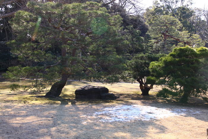 d0248502_8314150.jpg