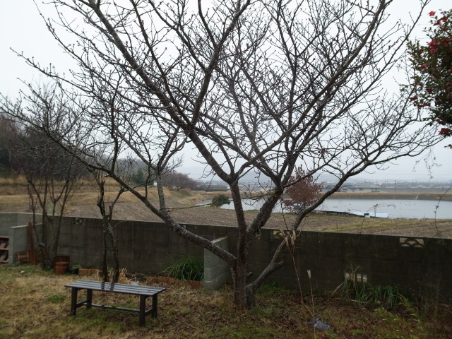 f0197703_167367.jpg