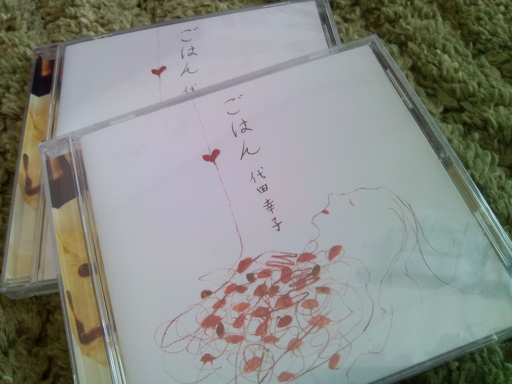 代田幸子さん「ごはん」のお知らせ。_f0042307_1159346.jpg