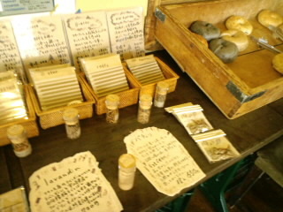 e0196125_02465627.jpg