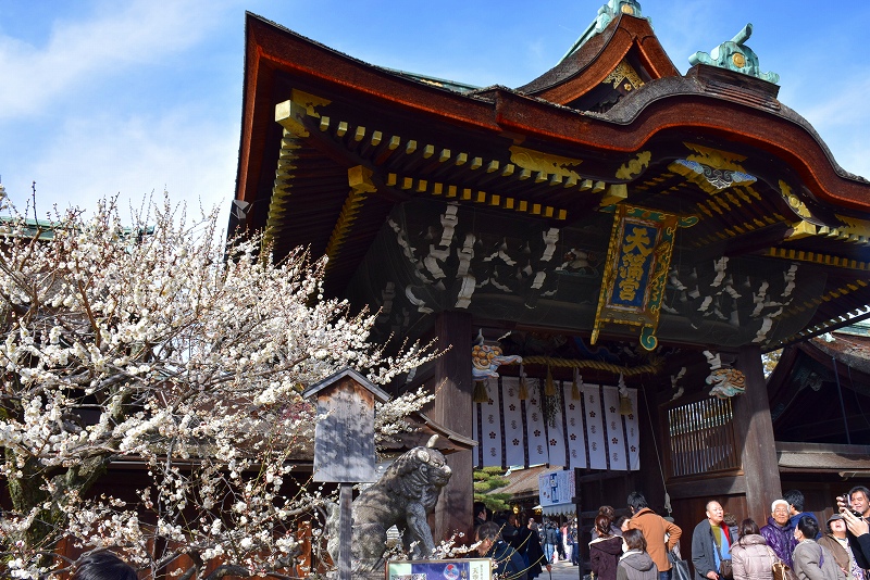 【梅だより】北野天満宮の梅は三分咲き20150228_e0237645_2230211.jpg
