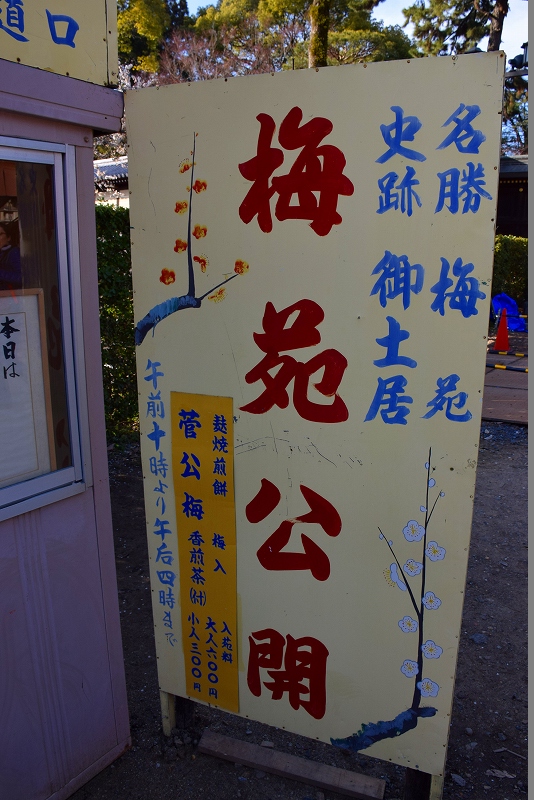 【梅だより】北野天満宮の梅は三分咲き20150228_e0237645_2231311.jpg