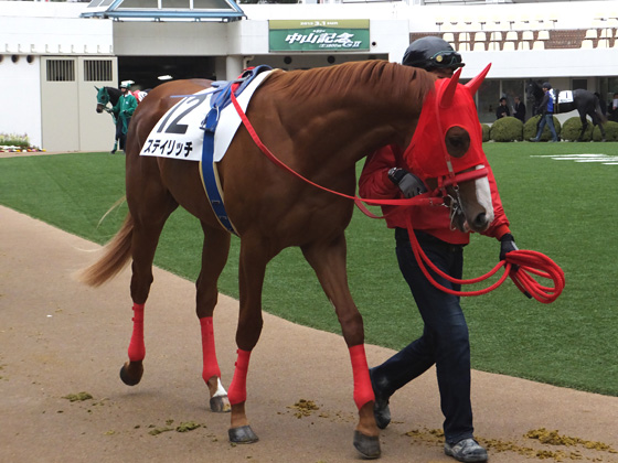 中山競馬場 2回中山2日。_c0039153_1342355.jpg