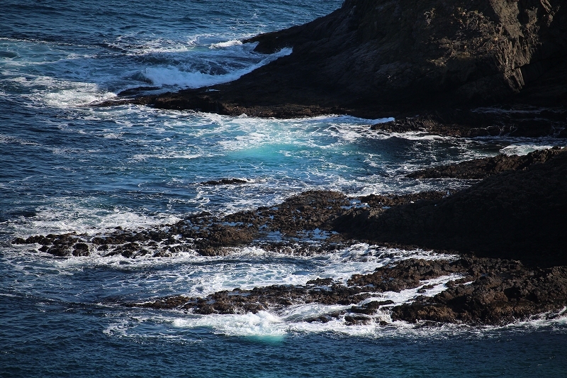 2月28日　武井の島展望台へ　３_b0250154_22391305.jpg