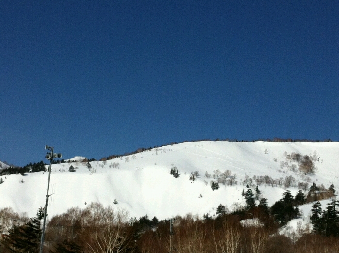 c0164354_17383253.jpg