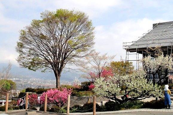 <2014年4月>諏訪探訪②:諏訪湖・茅野の縄文遺跡探訪レビュー_c0119160_21255835.jpg