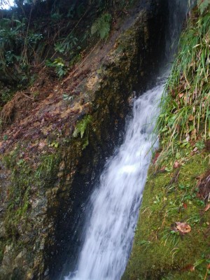 b0056570_20552738.jpg
