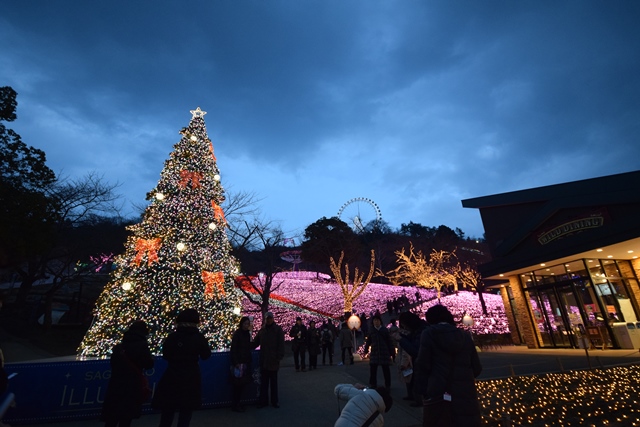 相模湖イルミリオン　2015　バス旅行_f0342371_1013939.jpg