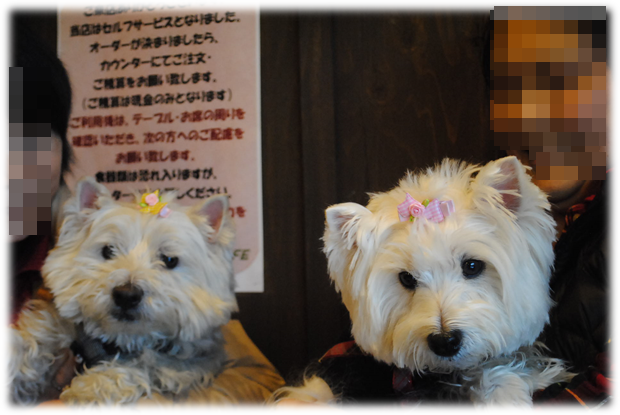 b0242873_01265132.png