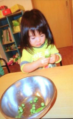 グリンピースのさやむき♪_c0293682_8131629.jpg