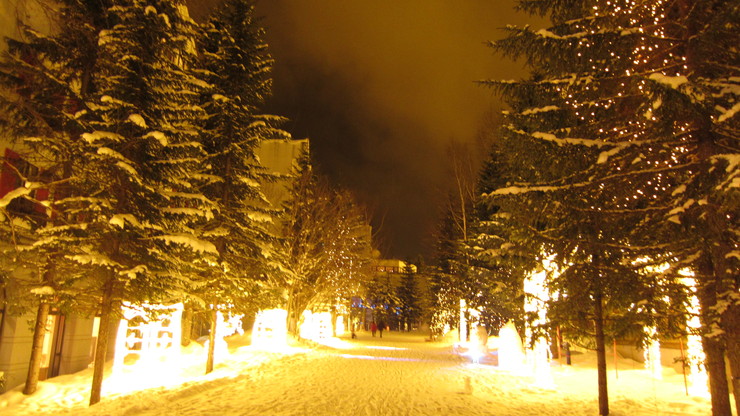 a0242984_1374325.jpg