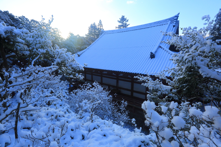 神護寺_e0051888_21105964.jpg