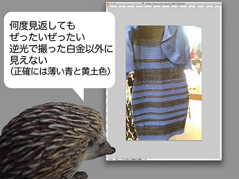白と金 か 青と黒 か Rabokigoshi Press Blog 白と金 か 青と黒 か Rabokigoshi Press Blog