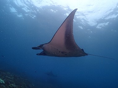 f0079996_18241732.jpg