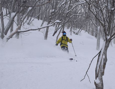 斑尾高原タングラムで粉雪を堪能する_c0242406_16375095.jpg