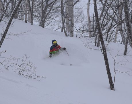 斑尾高原タングラムで粉雪を堪能する_c0242406_16455859.jpg