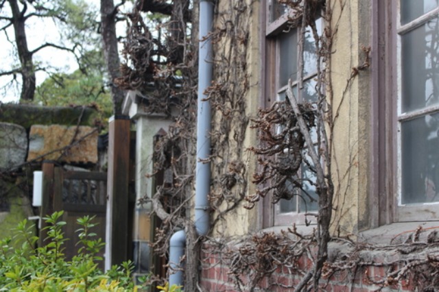 c0178009_14671.jpg