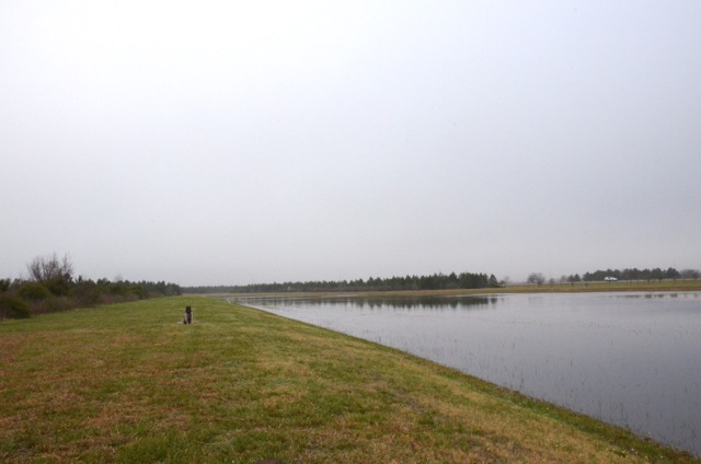 f0227709_5404931.jpg