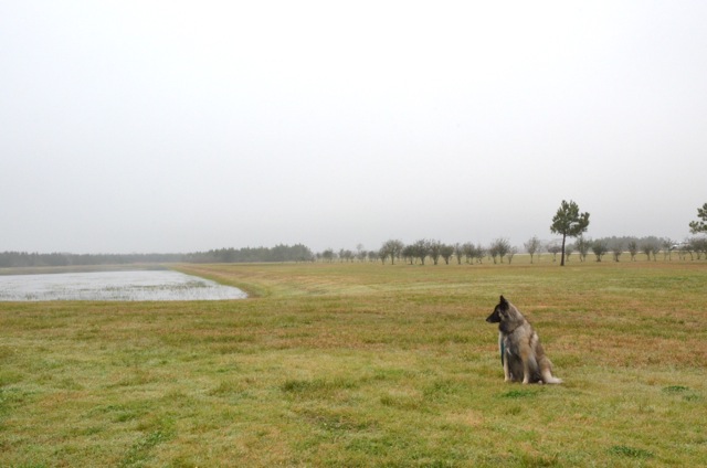 f0227709_54131.jpg