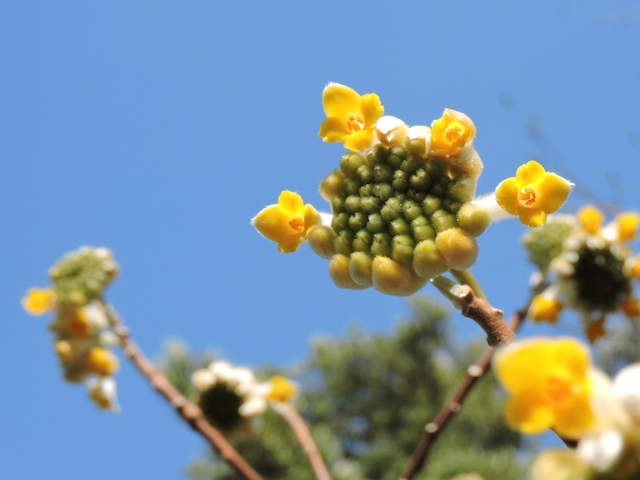 c0248013_21102996.jpg