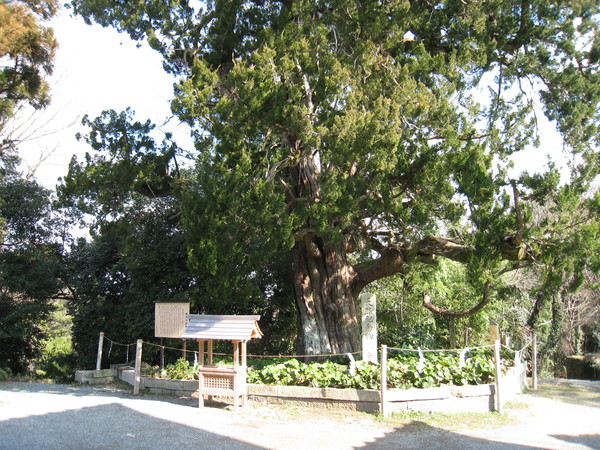 d0287413_19132777.jpg