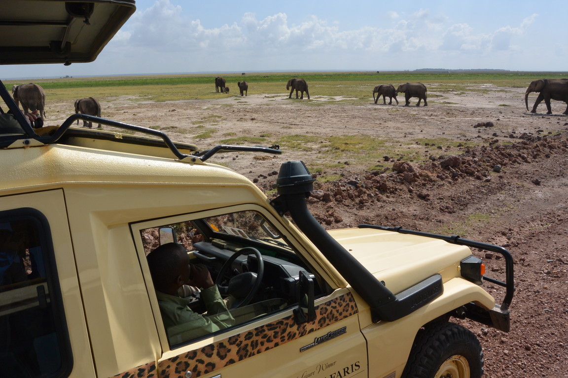 2015年2月 「アフリカの大地と野生動物」 February 2015 \"Wild Animals in Africa\"_c0219616_18173770.jpg