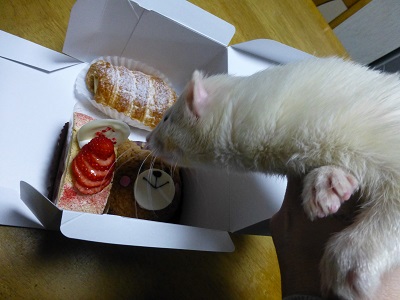 Cake Atelier Panari ケーキ工房パナリ いたち生活 Cake Atelier Panari ケーキ工房パナリ いたち生活