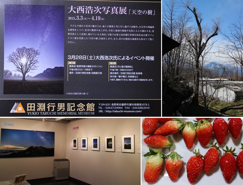 大西浩次写真展「天空の樹」へ_a0212730_2110451.jpg