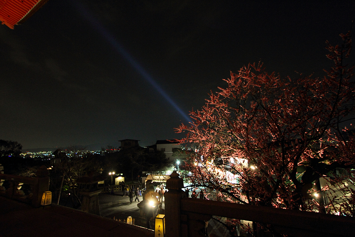 東山桜ライトアップ －清水寺－_b0169330_7464982.jpg