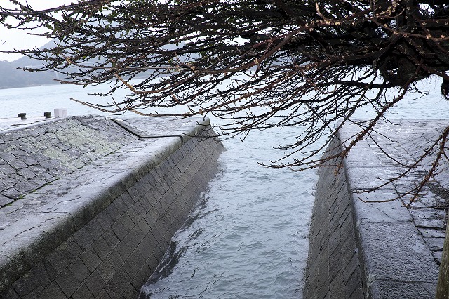 熊本から世界文化遺産を目指して(2015/3/1)_c0132230_6144560.jpg