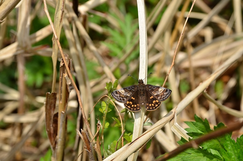 c0286530_195977.jpg