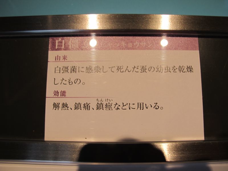 フォレスター2.0R「spec.B」に向けての薬効成分_f0076731_20003046.jpg