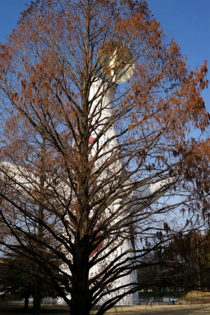 a0027641_811664.jpg