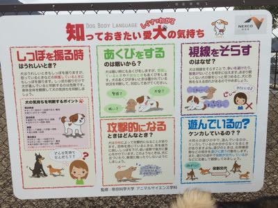 談合坂のドッグランで_a0126743_9452452.jpg