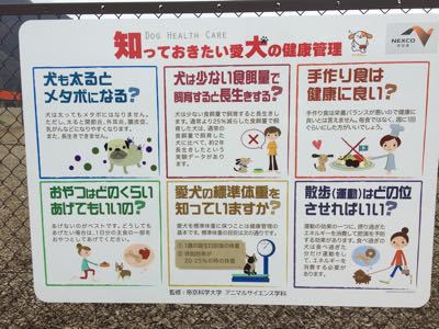 談合坂のドッグランで_a0126743_9452580.jpg