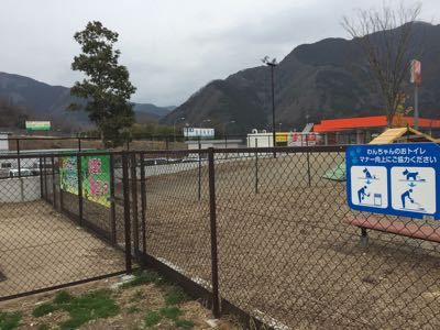 談合坂のドッグランで_a0126743_9452669.jpg