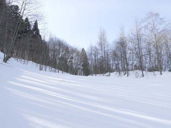 新幹線ゲレンデを発見!! (day3後半) _d0179447_21809.jpg