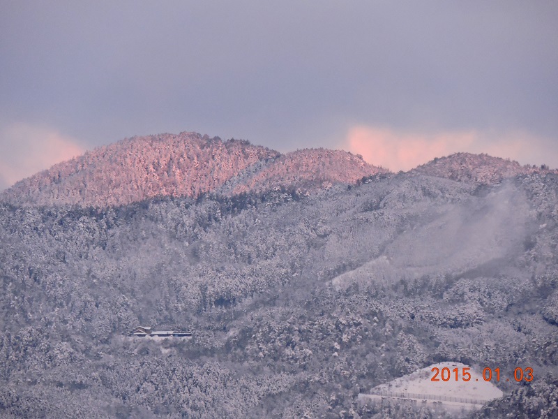 【霊峰愛宕山　 新春絶景】　　山の帰りトラックに豚と同乗　　　８階病棟より_a0191852_11291752.jpg