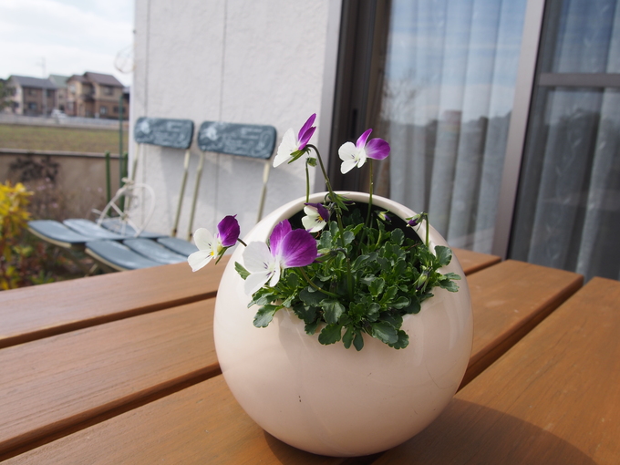 b0194267_20553630.jpg